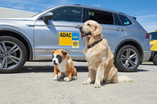 ADAC-Test Hundetransport: Hund und Hunde-Dummy im Einsatz für die Verkehrssicherheit.