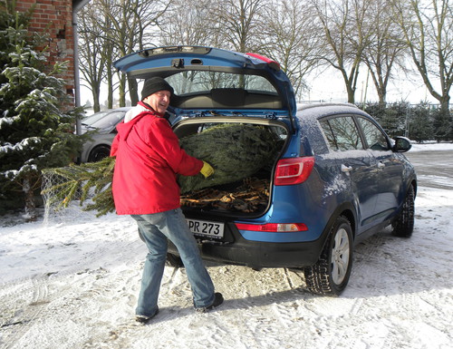 Die meisten Weihnachtsbäume werden mit dem Auto transportiert.