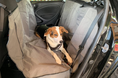 Hundetransport im Auto: Die Decke verhindert das Verschmutzen des Rücksitzes, schützt aber nicht ausreichend bei Brems- oder Ausweichmanövern.