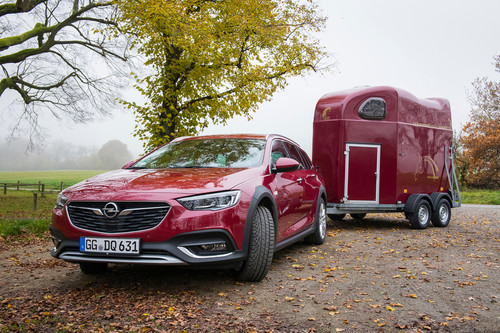 Opel liefert den Insignia Exclusive in jeder gewünschten Farbe, etwa passend zum Pferdeanhänger.