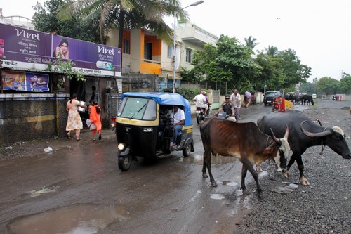 Straßenverkehr in Indien.