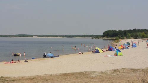 ADAC testet Badegewässer: Testsieger - Die Messstelle am Ostufer des Cospudener Sees bei Leipzig ist eine der fünf Testsieger mit der Note „sehr gut“.
