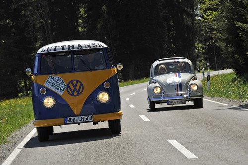 Bodensse-Klassik 2015: VW T 1 (1965) und „Herbie“.