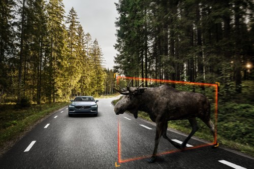City Safety im Volvo S90 ermöglicht die Erkennung großer Tiere bei Tag und auch in der Nacht.
