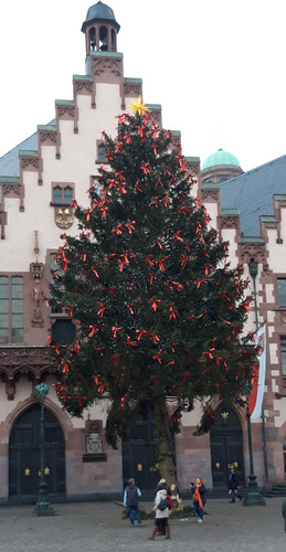 Der Weihnachtsbaum vor dem Frankfurter Römer.