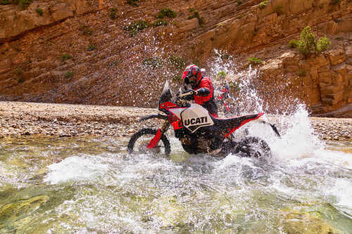 Ducati Desert X Rally.