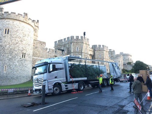 Ein Mercedes-Benz Actros 1845 LS brachte den Weihnachtsbaum für die Queen von Coburg zum Windsor Castle.