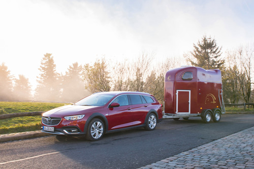 Exclusive-Programm: Opel liefert den Insignia in jeder gewünschten Farbe, etwa passend zum Pferdeanhänger.