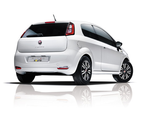 Fiat Punto Young.