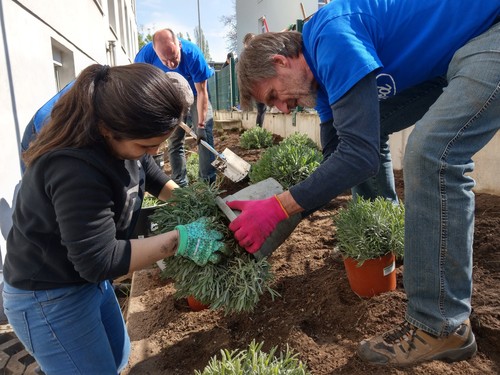 Ford-Freiwillige bepflanzen in der Ehrenamtswoche mit Kindern einen Schulgarten. 