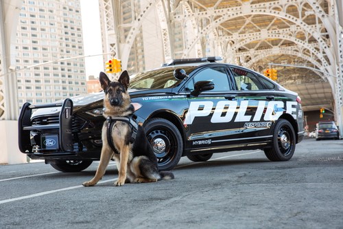 Ford Police Responder Hybrid Sedan (der Hund gehröt nicht zur Serienausstattung).