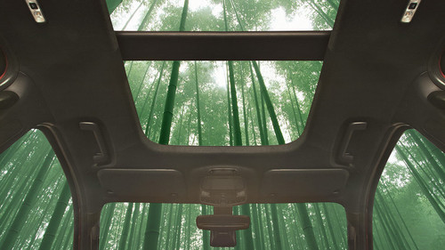 Ford will Bambus ins Auto holen und das Naturprodukt in Kombination mit Kunststoff bei der Herstellung von Oberflächen nutzen.