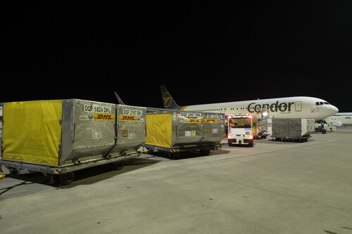 Fracht von DHL Express für eine Boeing 767 von Condor am Flughafen Leipzig-Halle.