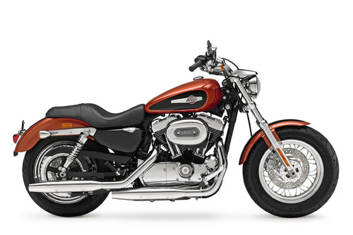 Harley-Davidson Sportster 1200 Custom.