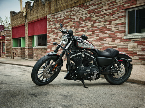 Harley-Davidson Sportster mit Umbaukit.