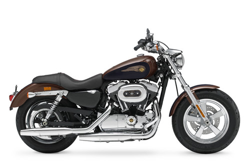 Harley-Davidson Sportster1200 Custom 110th Anniversary.