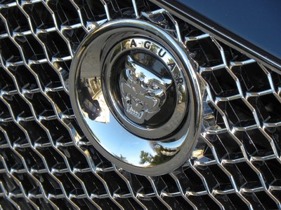 Jaguar Logo 2