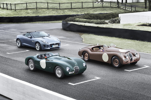 Jaguar setzt bei der Millie Miglia je drei XK 120 (rechts) und C-Type (links) ein. Begleitet werden sie einen Teil der Strecke vom neuen F-Type.