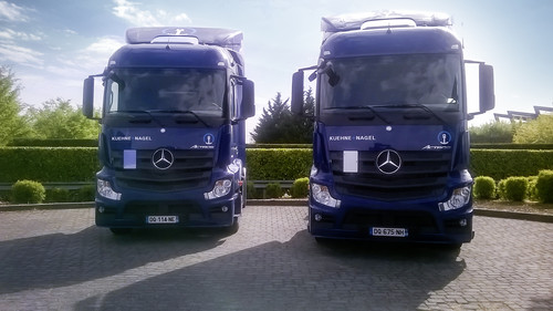 Kühne + Nagel hat bei Mercedes-Benz rund 240 Lkw für den Fern- und Verteilerverkehr bestellt.
