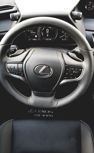 Lexus UX 300e.