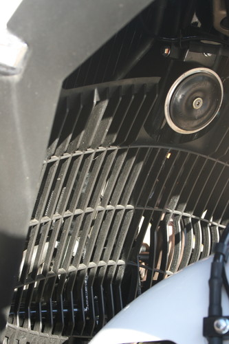 Mächtiges Gitterwerk: Kühler- und Motorschutz der Zontes 310 X.