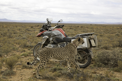 „One World. One R 1200 GS“-Tour in Afrika.
