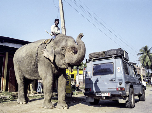 „Otto“ in Indien (2005).