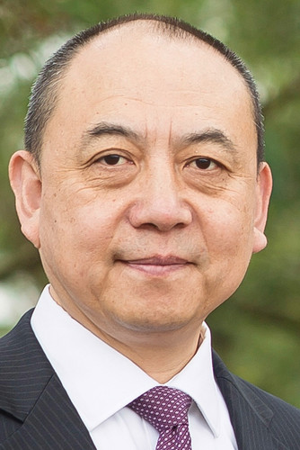 Professor Qi Ye. 