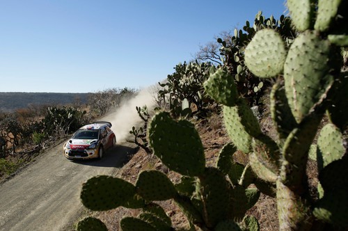Rallye Mexiko 2014: Mads Ostberg im Citoren.