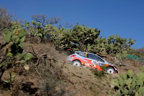Rallye Mexiko 2014: Thierry Neuville im Hyundai i20 WRC.