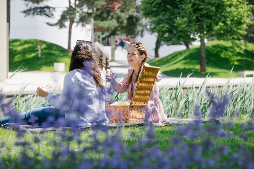 Sommerprogramm 2020 in der Autostadt: Picknick – auf den Freiflächen der Parklandschaft – ist ausdrücklich erwünscht.