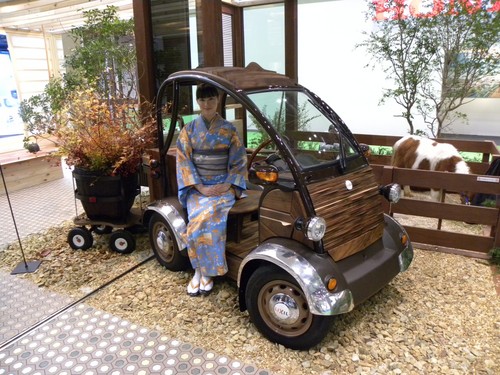Tokio 2011: Besonders nachhaltig, der Elektro-Zweisitzer in Holzoptik.