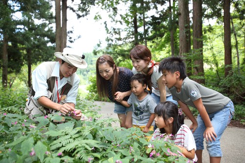 Toyota Shirakawa-Go Öko-Institut vermittelt seit zehn Jahren Kontakt zur Natur.