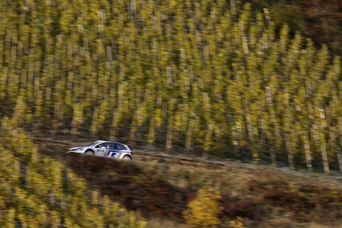Volkswagen Polo R WRC in den Weinbergen rund um Trier.