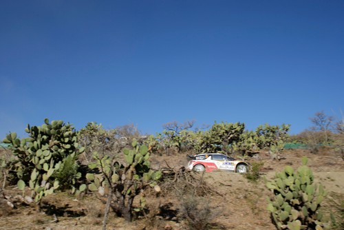 WRC Mexico.