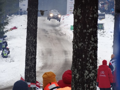 WRC Rally Schweden: Collin McRae sprang hier 50 Meter. Hyundai-Fahrer JuhoHänninen schaffte hier dieses Jahr mit 42 Meter den größten Sprung.
