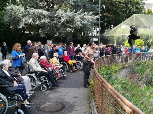 Zum „Global Caring Month“ von Ford gehört auch ein Besuch im Kölner Zoo mit Senioren, Flüchtlingen oder benachteiligten Kindern.