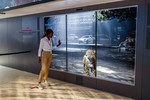 Jaguar präsentiert mit "My Electric Life" interaktive Touchscreen-Installationen auf der IAA in Frankfurt 2019. 