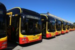 Mobilis, das größte Busunternehmen Polens, hat 61 MAN Lion’s City Hybrid in Dienst gestellt. 